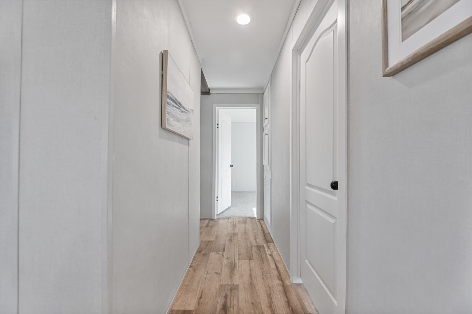 Vivid 28603N, photograph 19