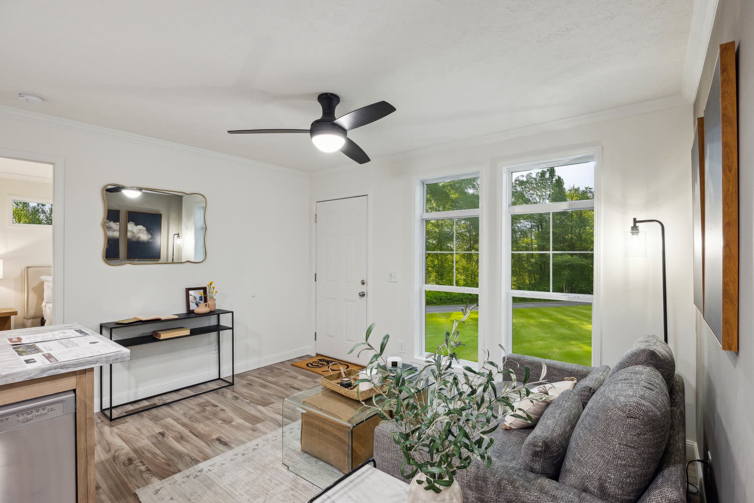 Blue Ridge Duplex, photograph 8